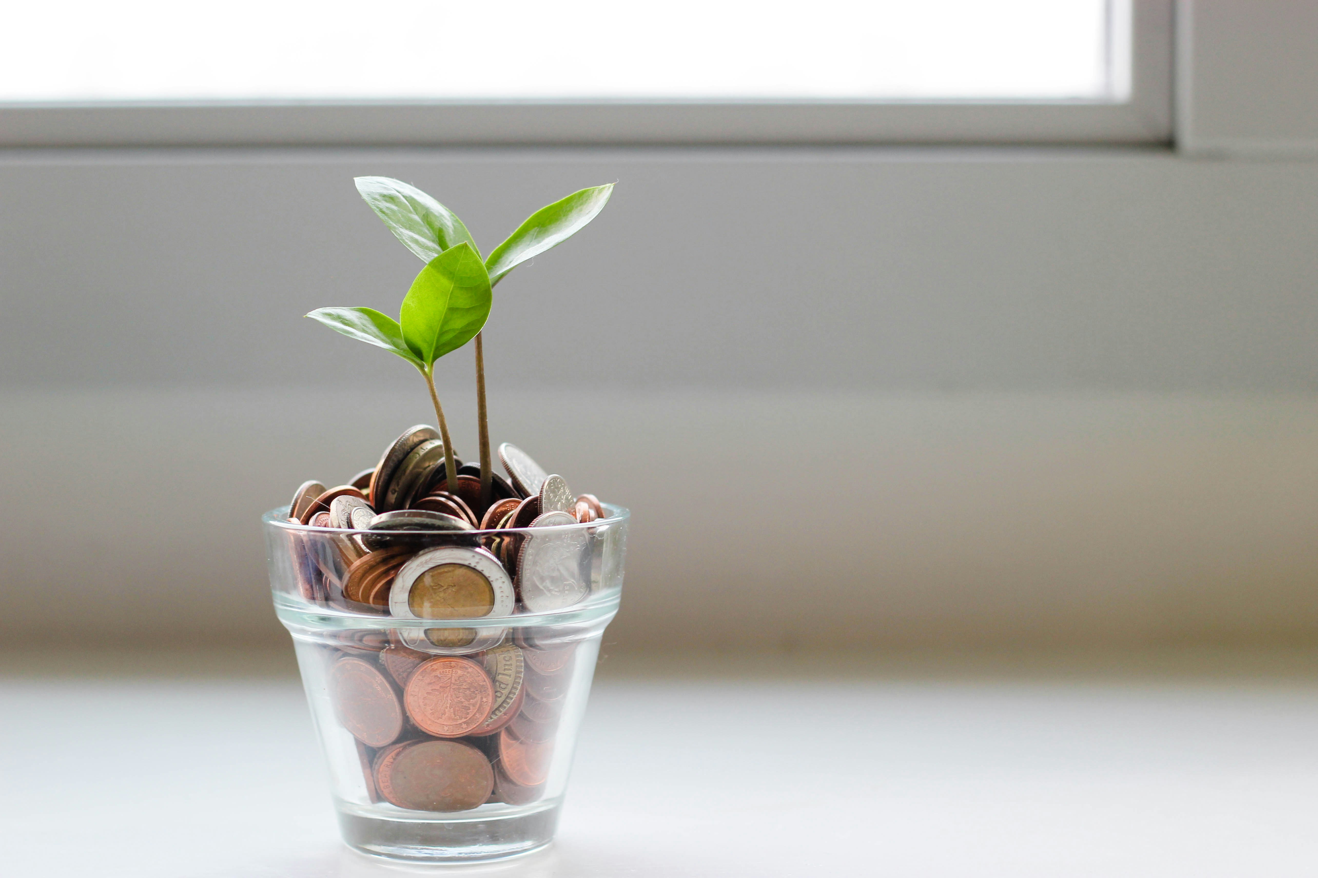 Crystals for Financial Abundance: Attract Wealth and Opportunity